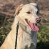 Bildhübsche SUNNY auf Familiensuche !