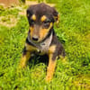 Zara ein liebes Mädchen