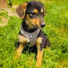 Zara ein liebes Mädchen
