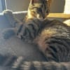 Sue und Tilo suchen zusammen