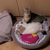 Sue und Tilo suchen zusammen
