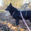 ELENYA -sensibel & feinfühlig-