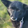 ELENYA -sensibel & feinfühlig-