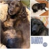 BAMBOO -liebt Kinder-