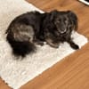 BAMBOO -liebt Kinder-