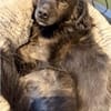 BAMBOO -liebt Kinder-