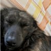 BAMBOO -liebt Kinder-