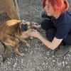 Ruhige SHILA sucht treue Begleiter