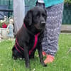 Margot sucht engen Familienanschluss