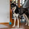 Bonita: verzaubert sie auch dich