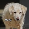 MARTY