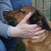 Matilde,verschmust,neugierig,freundlich