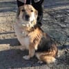 Neele ist so offen, föhlich + so lieb!