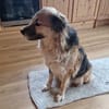 Neele ist so offen, föhlich + so lieb!
