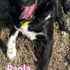 Paola - lernwillig und bewegungsfreudig