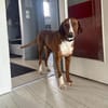 💕Maya 💕 sucht ihre Familie