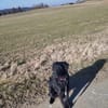 Anni  sucht ihre Familie