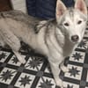 MILO