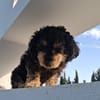 RITA