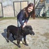 Letztes liebevolles Zuhause gesucht