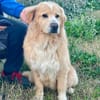 Sasha 💚💚💚 ruhig und ausgeglichen