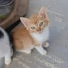 Fröhlicher Patrick sucht Familie!