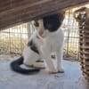 Stripe sucht DICH als Spielpartner!