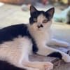 Entspannte Viona sucht ruhiges Zuhause