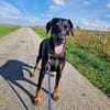 🐾 Akito sucht sein Für-immer-Zuhause 🐾