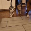 Bura und Pigi gemeinsam