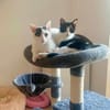Penny und Pepe gemeinsam