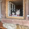 Penny und Pepe gemeinsam