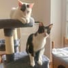 Penny und Pepe gemeinsam