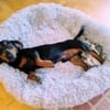 Kleiner Schatz JACK
