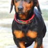 Kleiner Schatz JACK
