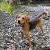 Anton 1/25 m Sucht sein Glück
