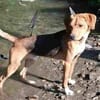 Anton 1/25 m Sucht sein Glück