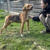 Anton m 1/25 sucht sein Glück