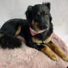 warmherziges Zuhause gesucht