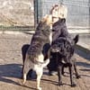 Merle - bezaubernd und liebevoll