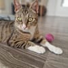 Sina liebt es zu kuscheln
