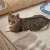 Sina liebt es zu kuscheln