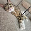 Sina liebt es zu kuscheln