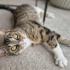 Sina liebt es zu kuscheln