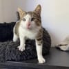 Lounis - Kleiner Charmeur sucht dich