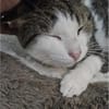 Lounis - Kleiner Charmeur sucht dich