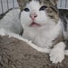 Lounis - Kleiner Charmeur sucht dich