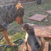 Champ sucht Altersruhesitz