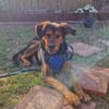 Champ sucht Altersruhesitz