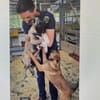 Kleine Zoe ab 04.06. auf PS in Offenburg